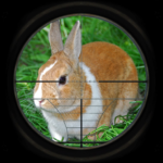 Rabbit Hunting 3D Mod APK