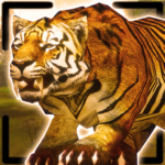 Tiger King Simulator APK