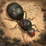 The Ants APK for Android Download